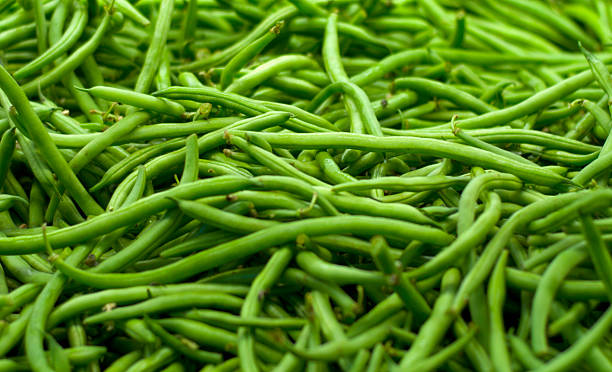 course verte, haricots pleine de légumes bio arrière - green bean photos et images de collection