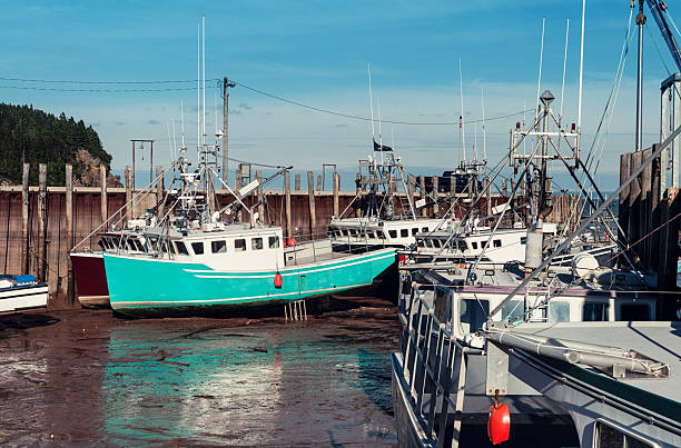 A number of fishing boats lie on the ocean floor during low tide in the Bay of Fundy.