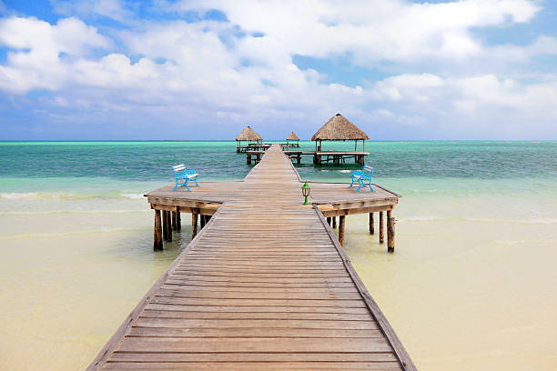 тропический пляж - beach bench caribbean sea cloudscape стоковые фото и изображения