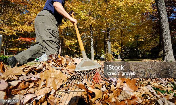 Raking Folhas Grande Angular Vista - Fotografias de stock e mais imagens de Ancinho - Equipamento de Jardinagem - Ancinho - Equipamento de Jardinagem, Folha, Relva