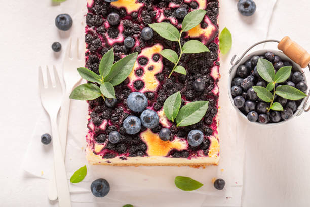 istock Tasty blueberry cheesecake with berries and powdered sugar. 1723869144