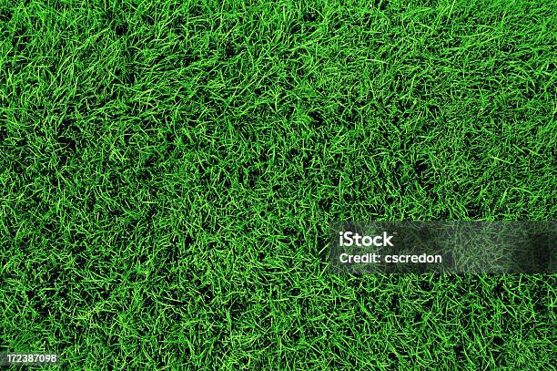 Gras Stockfoto und mehr Bilder von Bildhintergrund - Bildhintergrund, Draufsicht, Farbbild