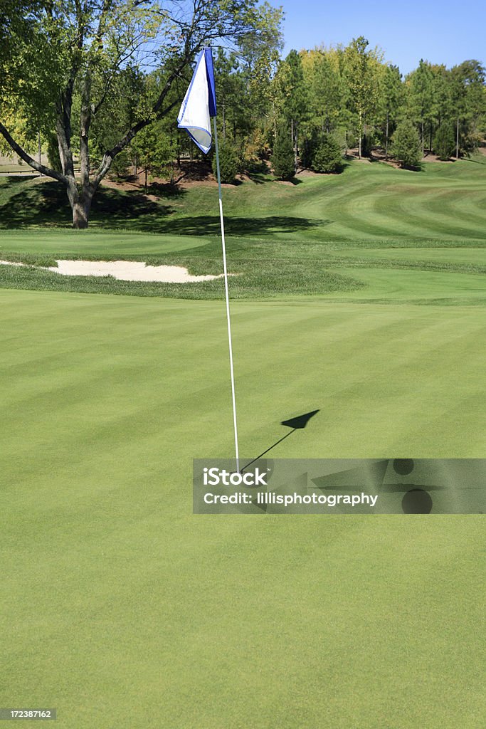 Campo da Golf Putting Green asta della bandiera foro - Foto stock royalty-free di Albero