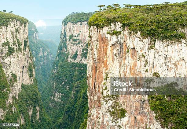 Canyon Itaimbezinho In Aparados Da Serra Nationalpark Brazil Stock Photo - Download Image Now