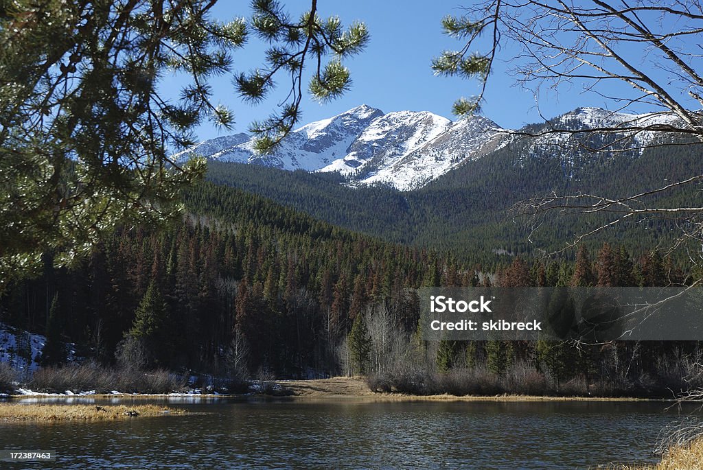 Marred Mountain Beauty A beautiful mountain scene is marred by the devastation caused by the Western Pine Beetle. Frisco - Texas Stock Photo
