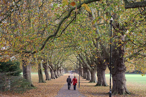 istock autumn colours, Cambridge, England 172387485
