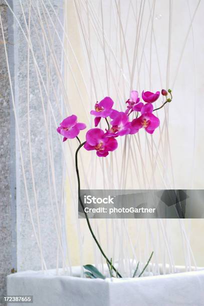 Decoração De Flores De Orquídea - Fotografias de stock e mais imagens de Abstrato - Abstrato, Arranjo, Artigo de Decoração