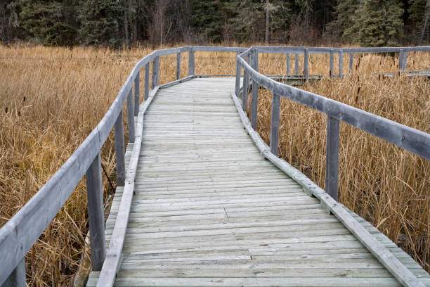 boardwalk - prince albert national park stock-fotos und bilder