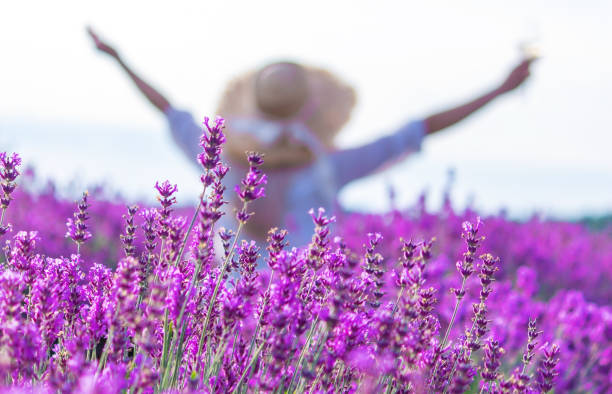 istock girl in lavender field. Selective focus 1723883649