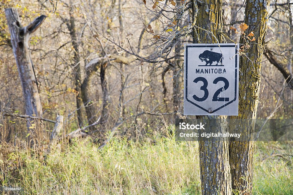 Sinal de estrada na floresta - Royalty-free Manitoba Foto de stock