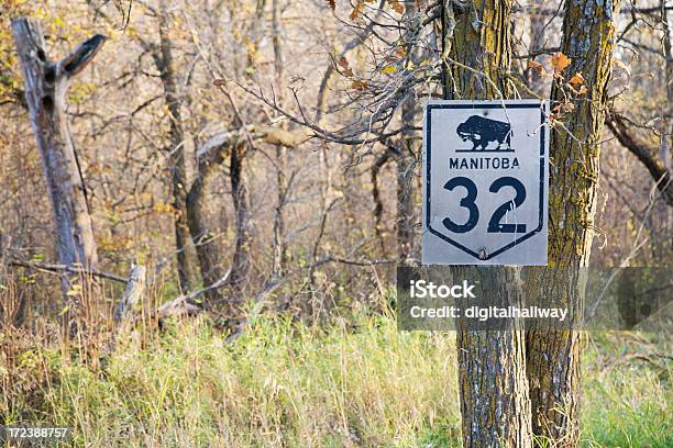 Sinal De Estrada Na Floresta - Fotografias de stock e mais imagens de Manitoba - Manitoba, Sinal de Estrada, Ao Ar Livre