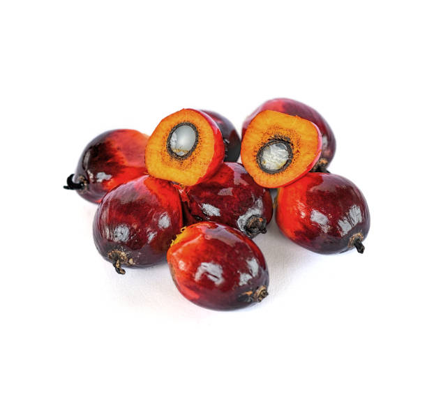 istock Palm oil seeds isolated on white background 1723887976