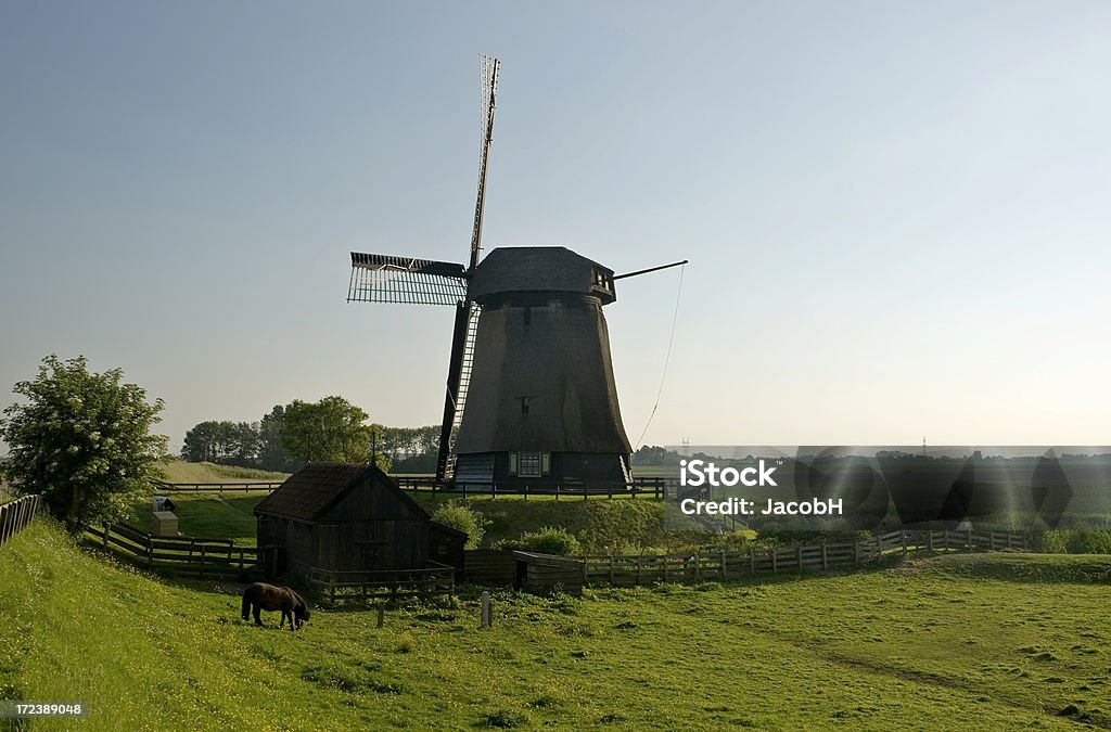 Holländische Windmühle - Lizenzfrei Abenddämmerung Stock-Foto