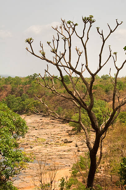 seca - nigeria africa abuja landscape imagens e fotografias de stock