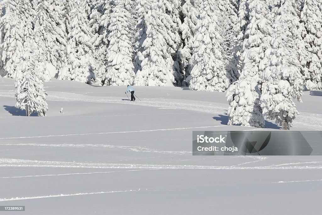 Ski runner na piękny zimowy day.Rogla, Słowenia - Zbiór zdjęć royalty-free (Bez ludzi)