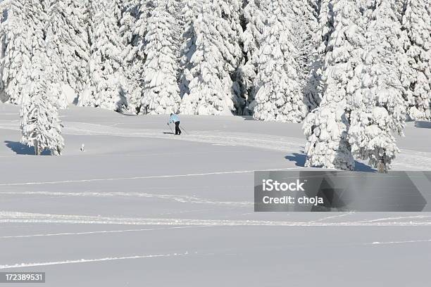 Ski Runner Na Piękny Zimowy Dayrogla Słowenia - zdjęcia stockowe i więcej obrazów Bez ludzi - Bez ludzi, Biegi narciarskie, Fotografika