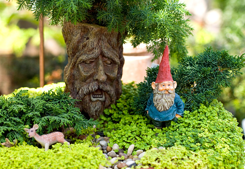 Miniature container garden, pot with small trees and gnome. (SEE LIGHTBOXES BELOW for many more gardening photos...)