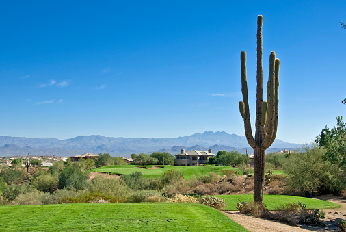 Gold COurse Landscape in the Southwestern United States ...