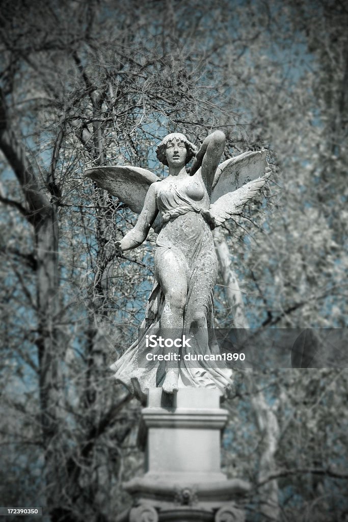 Invierno Angel - Foto de stock de Estatua libre de derechos