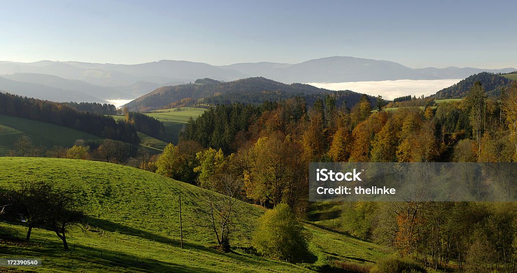 Paisaje cerca de Saint Märgen, la Selva negra - Foto de stock de Selva Negra libre de derechos