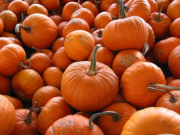 istock Fresh Pumpkins on Market Stall 172390580