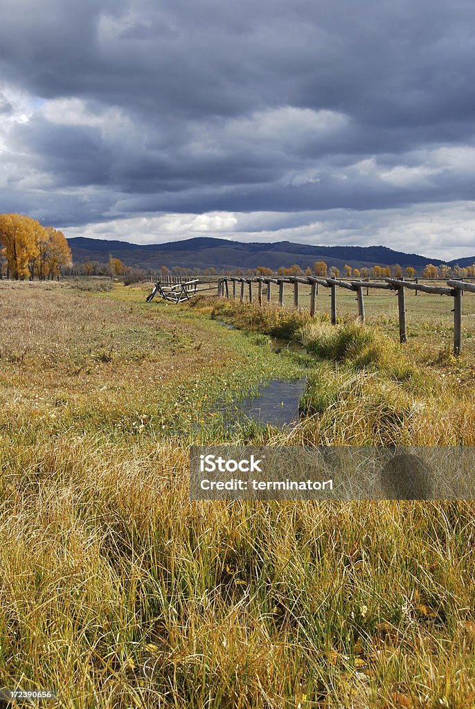 De Wyoming interior - Foto de stock de Amarelo royalty-free