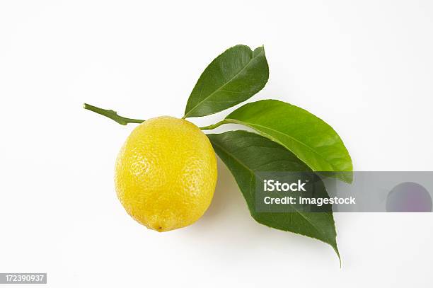 Limón Con Hojas Sobre Fondo Blanco Foto de stock y más banco de imágenes de Limón - Limón, Hoja, Hoja de limón