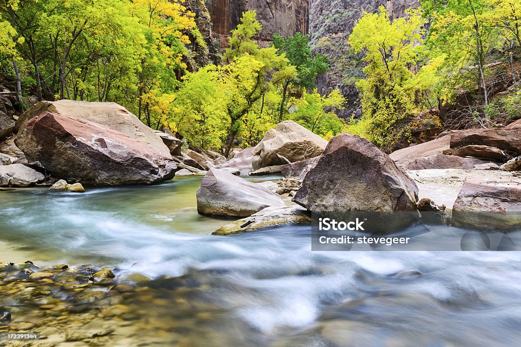 White water on the Virgin River, Zion Canyon - Lizenzfrei Baum Stock-Foto