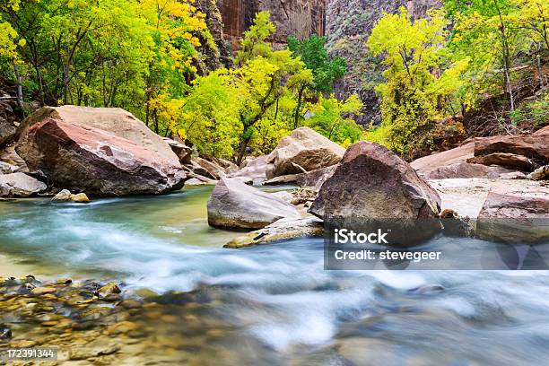 Photo libre de droit de Leau Blanche De La Rivière Virgin Zion Canyon banque d'images et plus d'images libres de droit de Arbre - Arbre, Automne, Destination de voyage