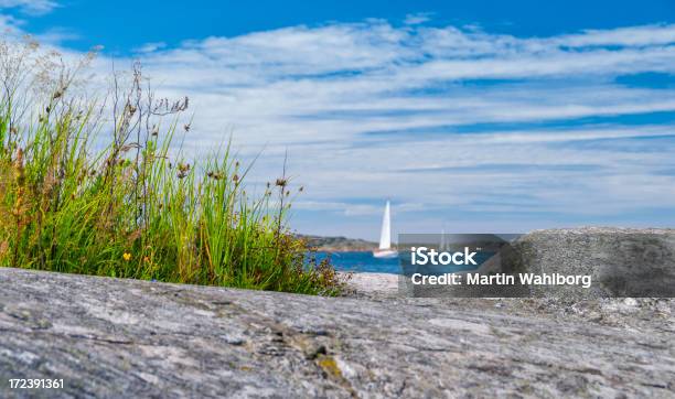 Foto de Costa Sueca e mais fotos de stock de Verão - Verão, Veleiro, Velejar