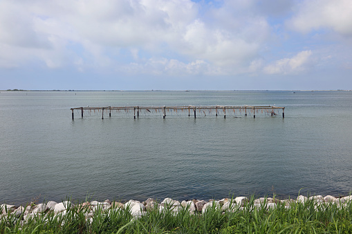 sea with a wooden infrastructure for the cultivation of clams and mussels in Italy