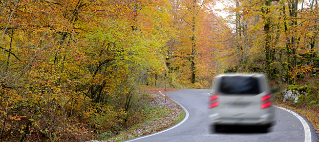 Car driving on road and beech forest with autumn colors.