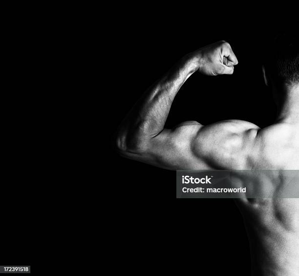 Músculo Foto de stock y más banco de imágenes de Blanco y negro - Blanco y negro, Masa - Unidad de medida, Musculoso