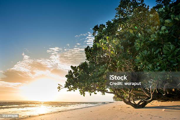 Foto de Bela Praia e mais fotos de stock de Areia - Areia, Azul, Céu - Fenômeno natural