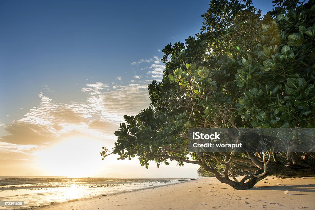 Красивый пляж - Стоковые фото Без людей роялти-фри
