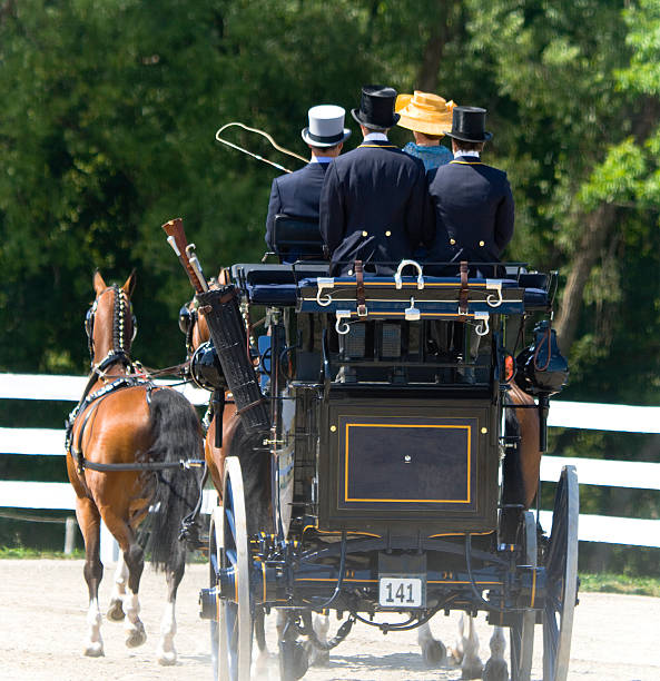 Stagecoach Caboose Rear view of stagecoach driven by three men and a woman dressed in Victorian attire. driving horse stock pictures, royalty-free photos & images