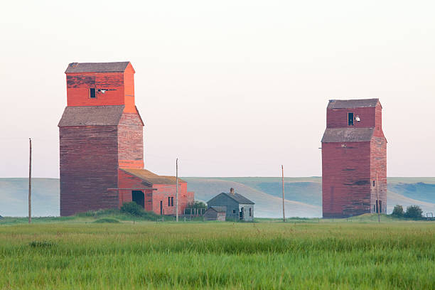 prairie-grain-aufzüge - regina fog morning saskatchewan stock-fotos und bilder