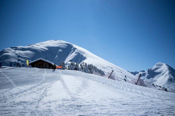 Alpine Rescue Hut stock photo