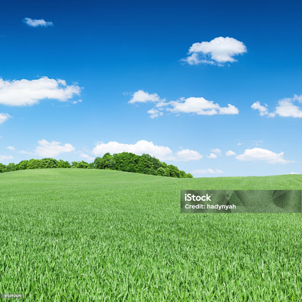 Square Frühling Landschaft 35MPix XXXXL- Wiese, blauer Himmel, - Lizenzfrei Abgeschiedenheit Stock-Foto