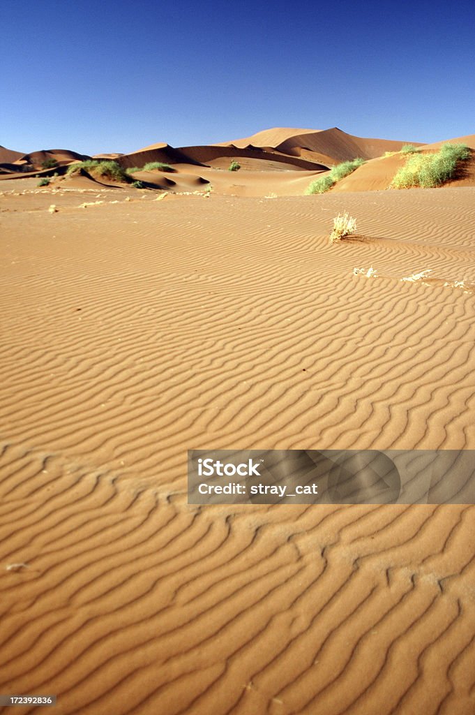 Sossusvlei "The red sands of Sossusvlei, Namibia, stretch toward the dunes in the distance." Adventure Stock Photo