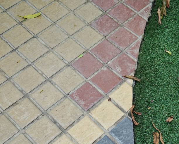istock the grass is green and red.. 1723928958