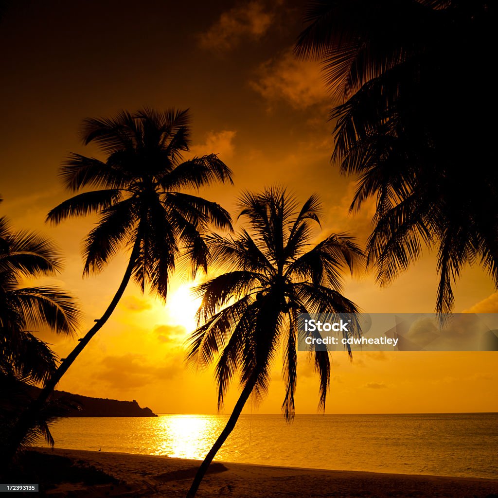 Pôr do sol em uma praia tropical no Caribe - Foto de stock de Areia royalty-free