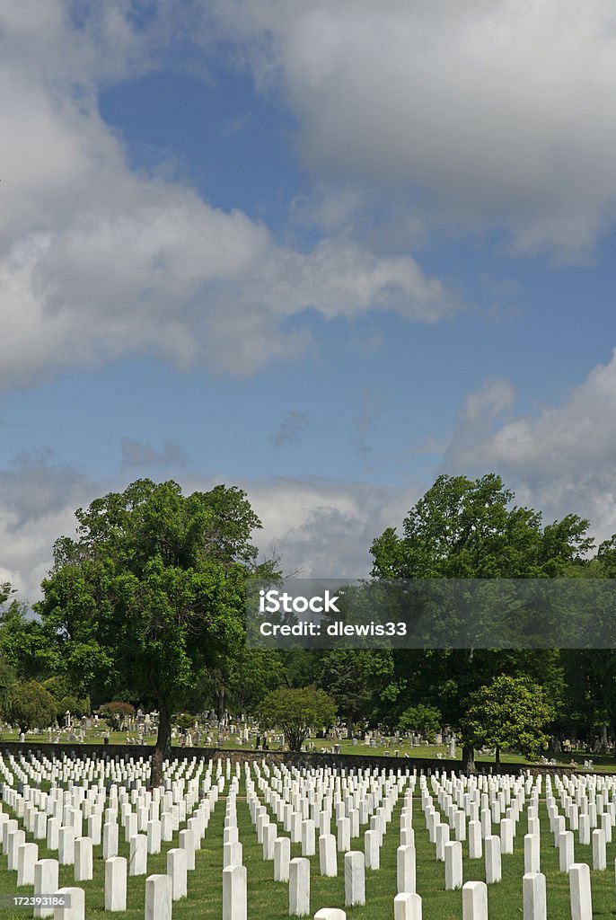 Cimetière Veterans - Photo de Arbre libre de droits