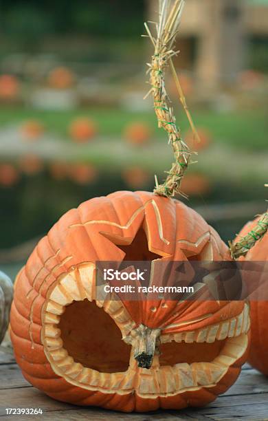 Photo libre de droit de Tête De Punk Halloween Citrouille banque d'images et plus d'images libres de droit de Allemagne - Allemagne, Automne, Bizarre