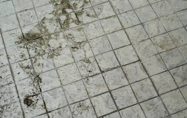 istock the floor is dirty and dirty... 1723935073