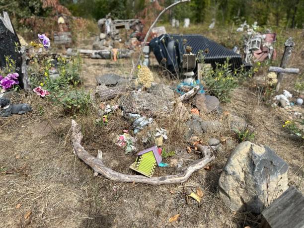 istock A homeless pet cemetery 1723942153