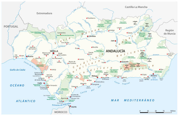Map of the National and Natural Parks in Andalusia in Spanish language Map of the National and Natural Parks in Andalusia in Spanish language ceuta map stock illustrations
