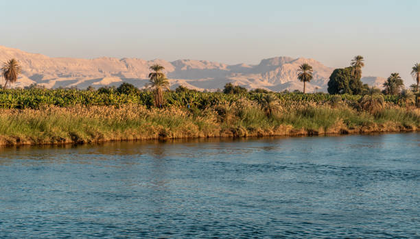 istock Travel Egypt Nile Cruise 1723946584