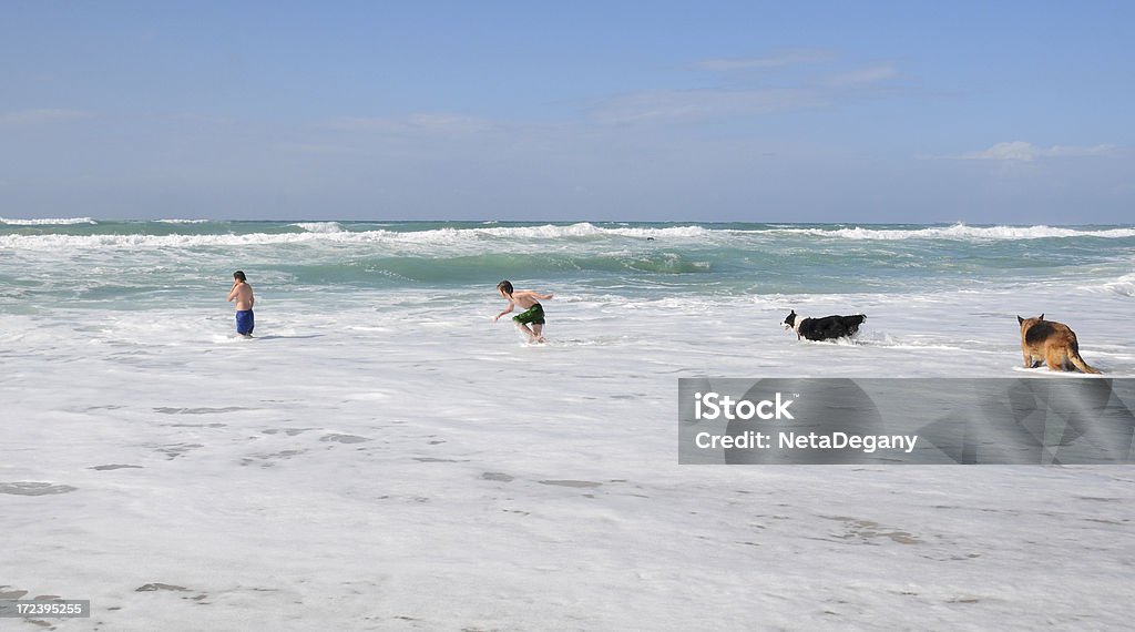 Fratelli e cani che giocano in spiaggia israeliano Mediterraneo - Foto stock royalty-free di Ambientazione esterna