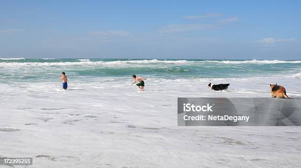 Fratelli E Cani Che Giocano In Spiaggia Israeliano Mediterraneo - Fotografie stock e altre immagini di Ambientazione esterna